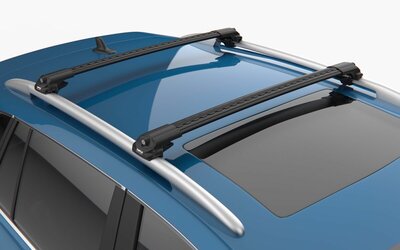 Turtle Dachtr&auml;ger Dacia Sandero Stepway SUV 2013 - 2020