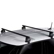 Green Valley Dachtr&auml;ger Suzuki Alto 5-t&uuml;rig Flie&szlig;heck 2002 - 2009