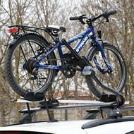 Farad Fahrradtr&auml;ger Pesio - E-Bike
